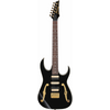 Ibanez PGM50BK Paul Gilbert Signature Model w/ Gig Bag