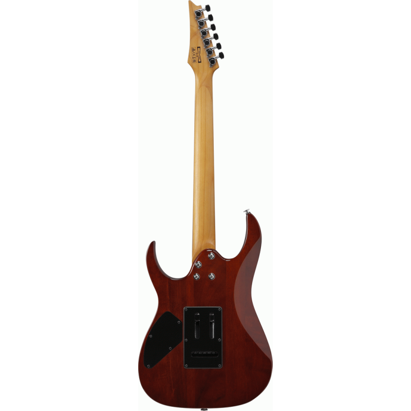 Ibanez RG220PA1 BKB Electric Guitar
