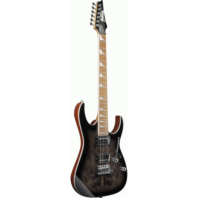 Ibanez RG220PA1 BKB Electric Guitar