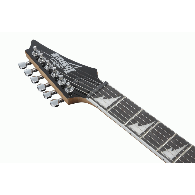 Ibanez RG220PA1 BKB Electric Guitar
