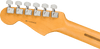 Fender American Professional II Stratocaster, Rosewood Fingerboard in Dark Night