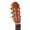 Kremona R65S Rondo Spruce / Walnut Classic Guitar, Kremona, Haworth Music
