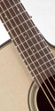 Takamine P2DC Pro-Series Acoustic Electric Guitar, Takamine, Haworth Music