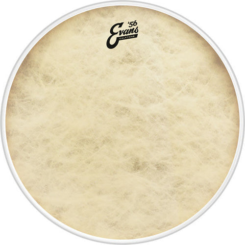 Evans Calftone Bass Drum Head, 16 Inch, Evans, Haworth Music