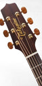 Takamine P3NC Pro-Series Acoustic Electric Guitar, Takamine, Haworth Music