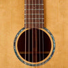 Tasman TA100-CE Dreadnought Cutaway Acoustic Electric with Hard Case