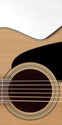 Takamine P1JC Pro-Series Acoustic Electric Guitar, Takamine, Haworth Music