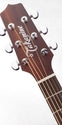 Takamine P2DC Pro-Series Acoustic Electric Guitar, Takamine, Haworth Music