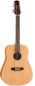 Ashton D20/12 NTM Dreadnought 12 String Guitar, Ashton, Haworth Music
