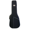 Tanglewood TSP15CE Sundance Premier Dreadnought C/E w/Case, Tanglewood, Haworth Music