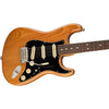 Fender American Professional II Stratocaster In Roasted Pine RW