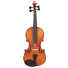 Hidersine WV100 Violin Outfit 4/4 VENEZIA Inc. Se, Hidersine, Haworth Music