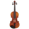 Hidersine WV50 Violin Outfit  4/4 Inc. Setup., Hidersine, Haworth Music