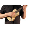 KNA AP-2 Acoustic Instrument Pickup with Volume Control, KNA Pickups, Haworth Music