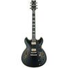 Ibanez JSM20 BKL John Scofield Signature Hollowbody Guitar in Hard Case, Ibanez, Haworth Music