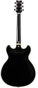 Ibanez JSM20 BKL John Scofield Signature Hollowbody Guitar in Hard Case, Ibanez, Haworth Music