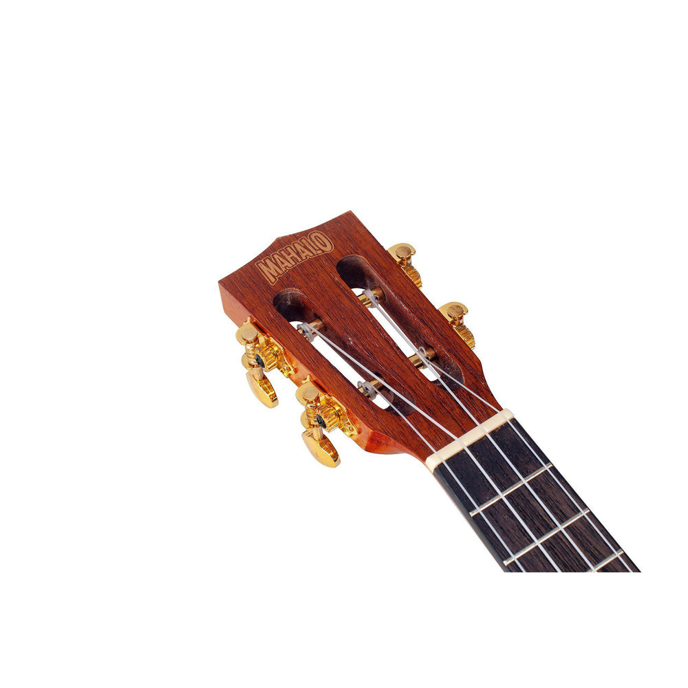Mahalo Concert Ukulele with Essentials Accessory Pack, Mahalo, Haworth Music