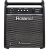 Roland PM100 High-Resolution Personal Monitor Amplifier for Roland V-Drums, Roland, Haworth Music