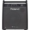 Roland PM200 High-Resolution Personal Monitor Amplifier for Roland V-Drums, Roland, Haworth Music