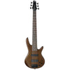 Ibanez SR206B WNF 6 String Bass, Ibanez, Haworth Music