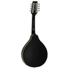 Union Series Mandolin Black With Pickup, Tanglewood, Haworth Music