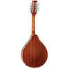 Tanglewood TWMTMH Mahogany Mandolin, Tanglewood, Haworth Music