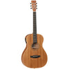 Tanglewood TWR2PE Roadster II Parlour With Pickup, Tanglewood, Haworth Music