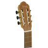 Valencia Classical Guitar - Cutaway, Electric Acoustic, Valencia, Haworth Music