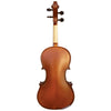Vivo Student 4/4 Violin Outfit, Vivo Violins, Haworth Music