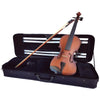 Vivo Student 4/4 Violin Outfit, Vivo Violins, Haworth Music