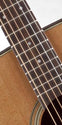 Takamine P1DC Pro-Series Acoustic Electric Guitar, Takamine, Haworth Music