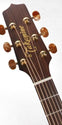 Takamine P3MC Pro-Series Acoustic Electric Guitar, Takamine, Haworth Music