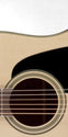 Takamine P2DC Pro-Series Acoustic Electric Guitar, Takamine, Haworth Music