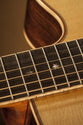 Takamine P7NC Pro-Series Acoustic Electric Guitar, Takamine, Haworth Music