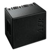 AER Domino 3 Stereo Acoustic Guitar Amp, AER, Haworth Music