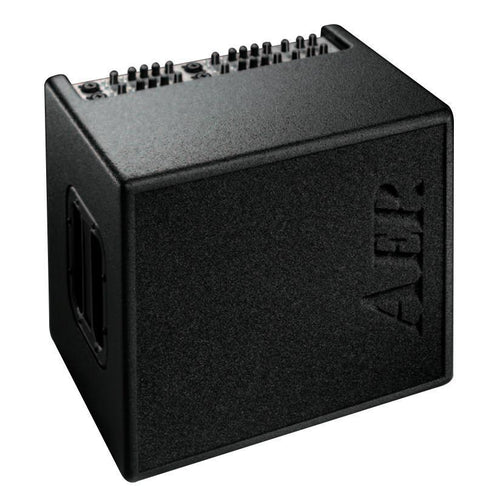 AER Domino 3 Stereo Acoustic Guitar Amp, AER, Haworth Music