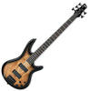 Ibanez SR205SM NGT 5-String Bass Guitar In Natural Grey Burst