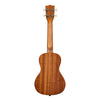 Kala Surf Series Wipeout Concert Ukulele