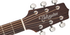Takamine G20 Series Dreadnought Acoustic Guitar in Natural Satin Finish