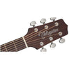 Takamine TGD10NS Dreadnought Acoustic Guitar, Haworth Guitars