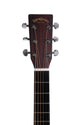 Sigma DM-15 15-Series Acoustic Guitar, Sigma, Haworth Music