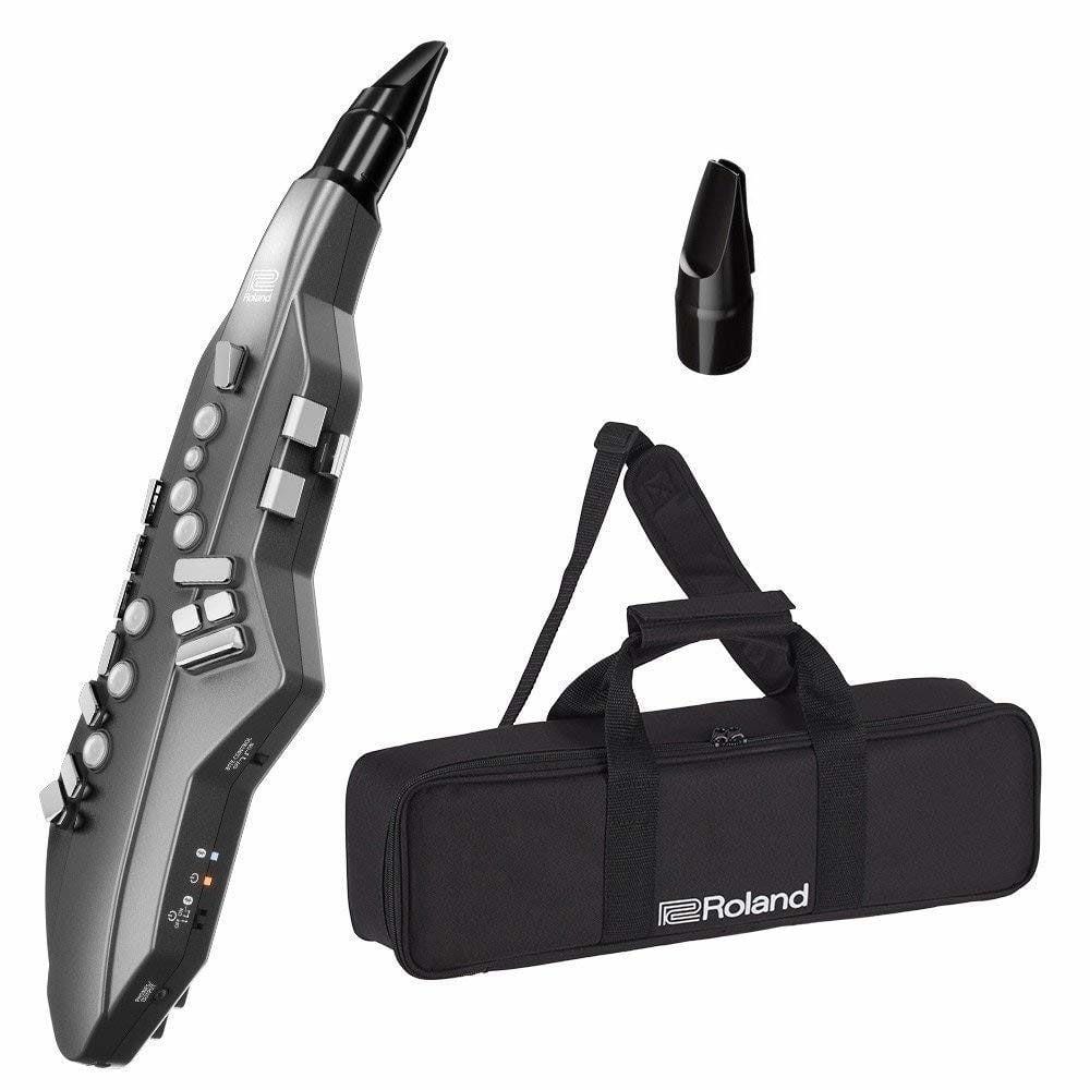 Aerophone go roland sale