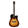 Tasman TA300-CE Dreadnought Cutaway Acoustic Electric with Premium Hard Case